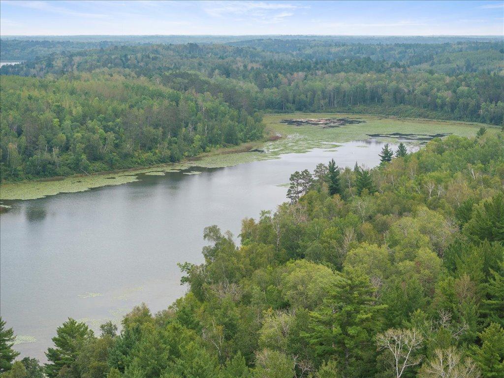 TBD 290th Street Park Rapids MN 56470 - Bad Axe 6690314 image4
