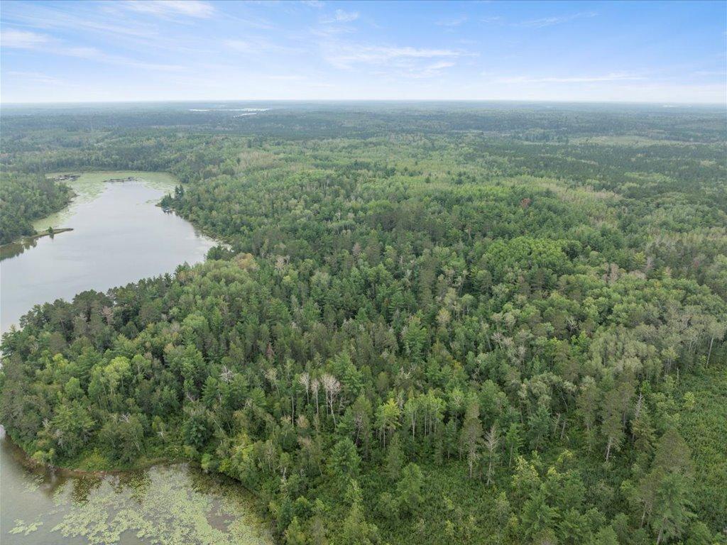 TBD 290th Street Park Rapids MN 56470 - Bad Axe 6690314 image5