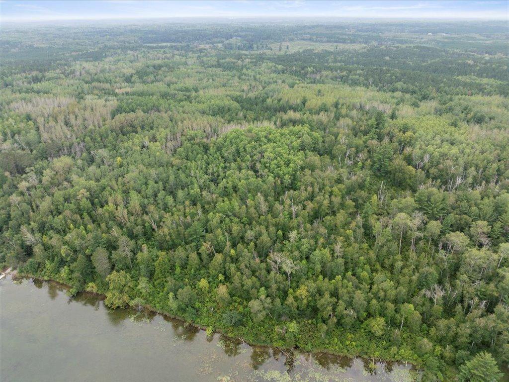 TBD 290th Street Park Rapids MN 56470 - Bad Axe 6690314 image6