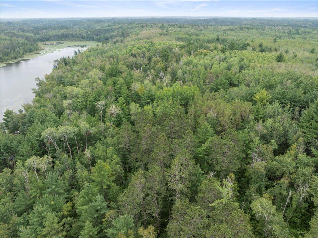 TBD 290th Street Park Rapids MN 56470 - Bad Axe 6690314 image7