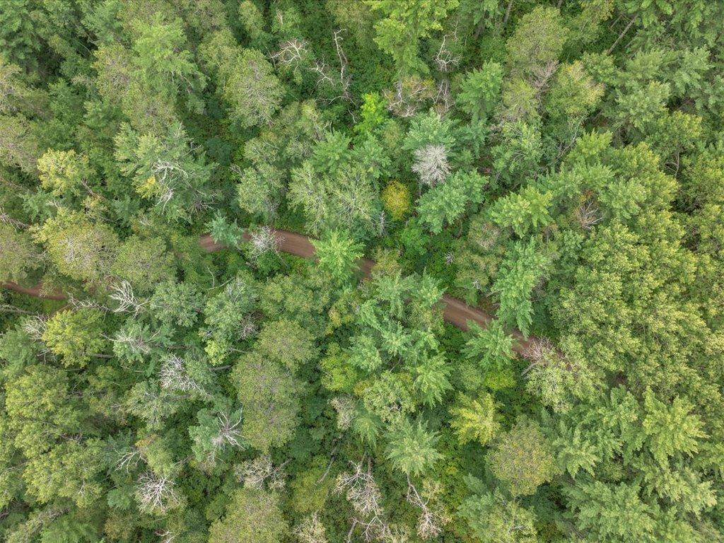 TBD 290th Street Park Rapids MN 56470 - Bad Axe 6690314 image8