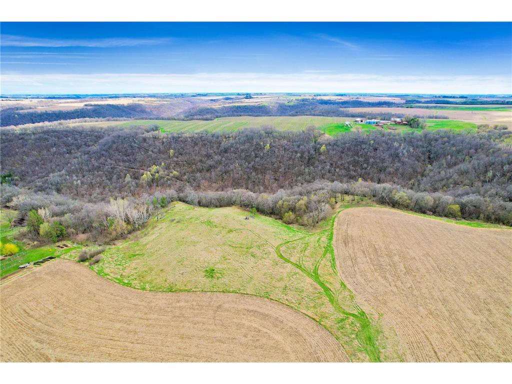 TBD 292nd Avenue Lake City MN 55041 6529884 image1