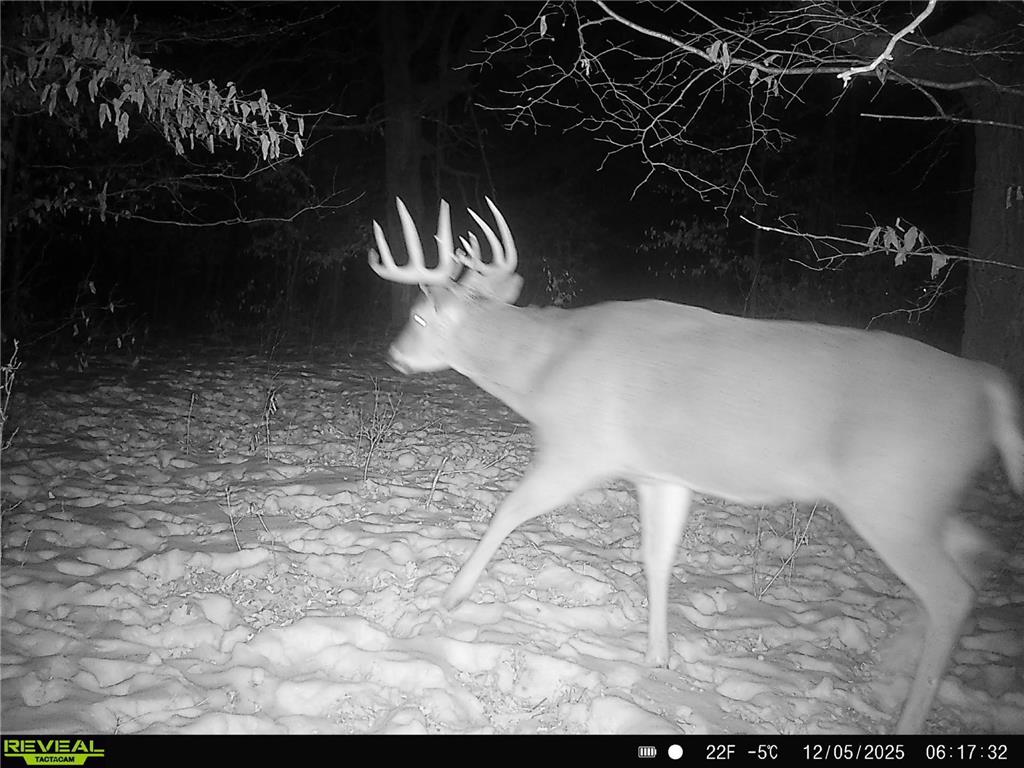 TBD 294th Street Red Eye Twp MN 56477 6819871 image1