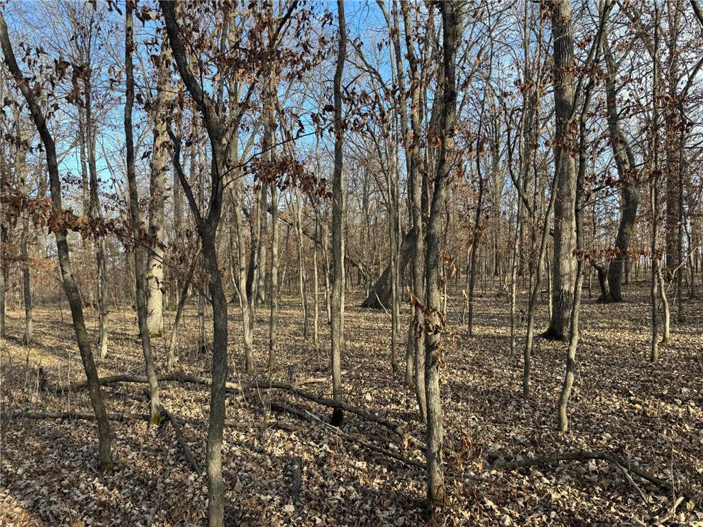 TBD 294th Street Red Eye Twp MN 56477 6819871 image10