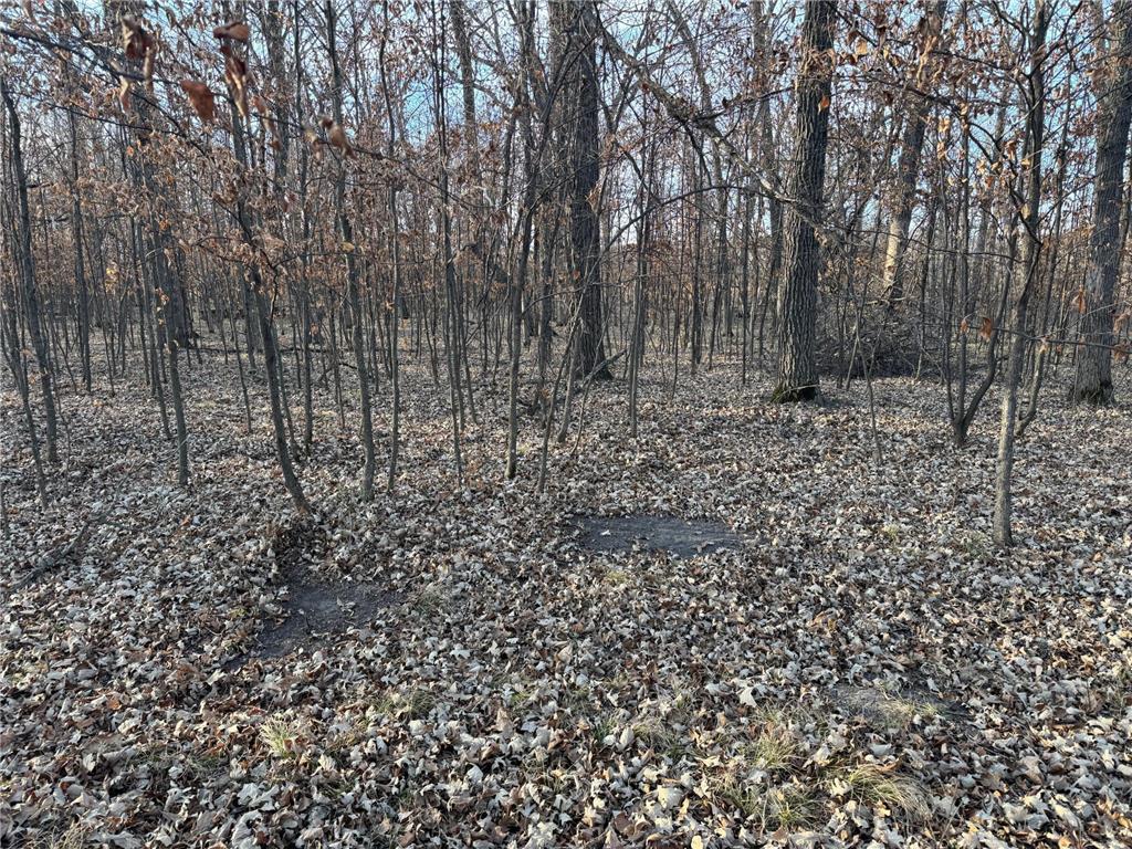 TBD 294th Street Red Eye Twp MN 56477 6819871 image11