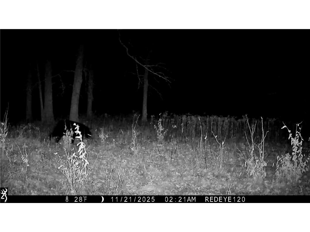 TBD 294th Street Red Eye Twp MN 56477 6819871 image13