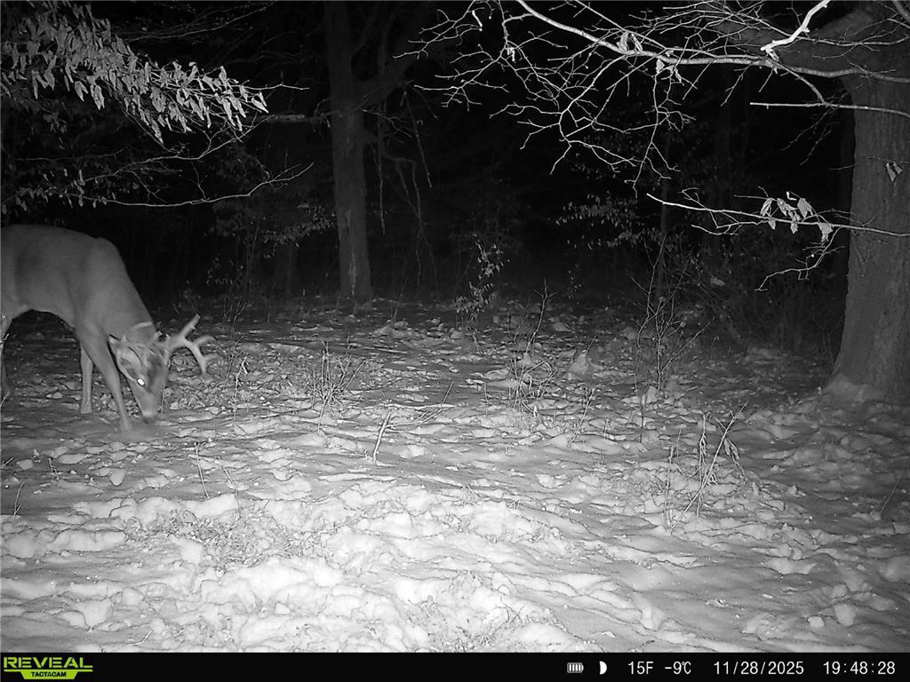 TBD 294th Street Red Eye Twp MN 56477 6819871 image15