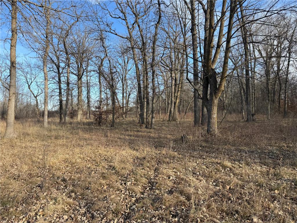 TBD 294th Street Red Eye Twp MN 56477 6819871 image17