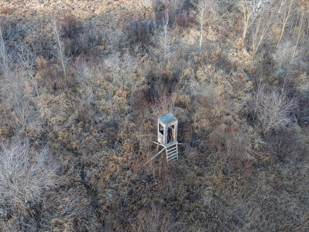 TBD 294th Street Red Eye Twp MN 56477 6819871 image18