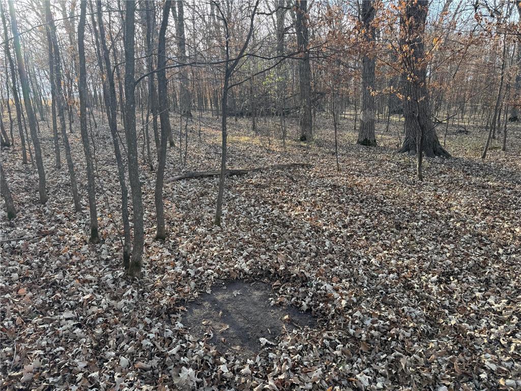 TBD 294th Street Red Eye Twp MN 56477 6819871 image19