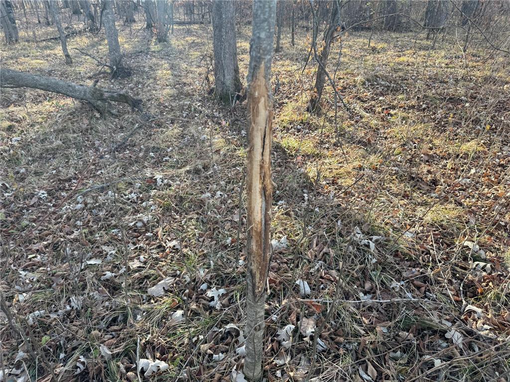 TBD 294th Street Red Eye Twp MN 56477 6819871 image21