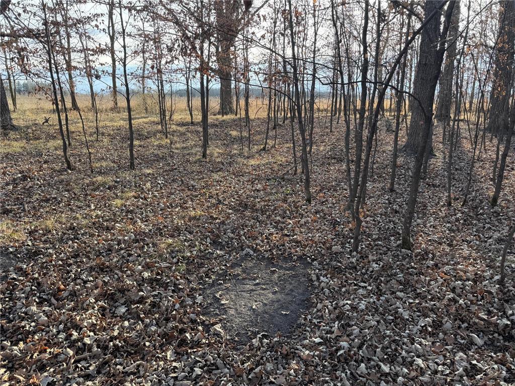 TBD 294th Street Red Eye Twp MN 56477 6819871 image23