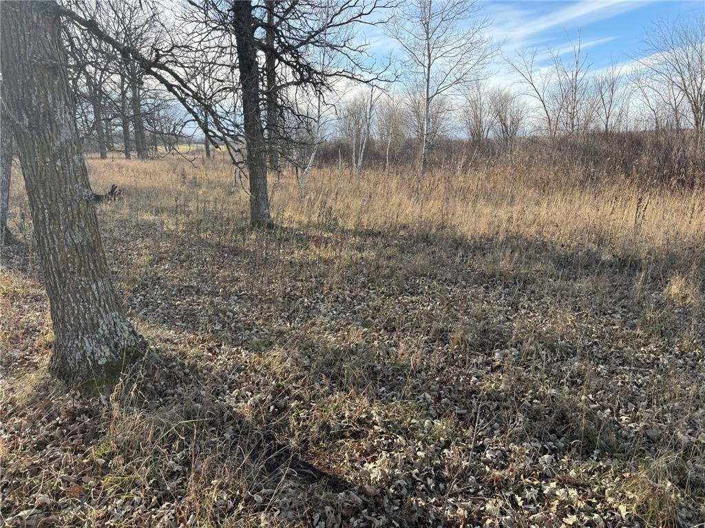 TBD 294th Street Red Eye Twp MN 56477 6819871 image25