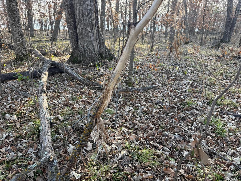 TBD 294th Street Red Eye Twp MN 56477 6819871 image27