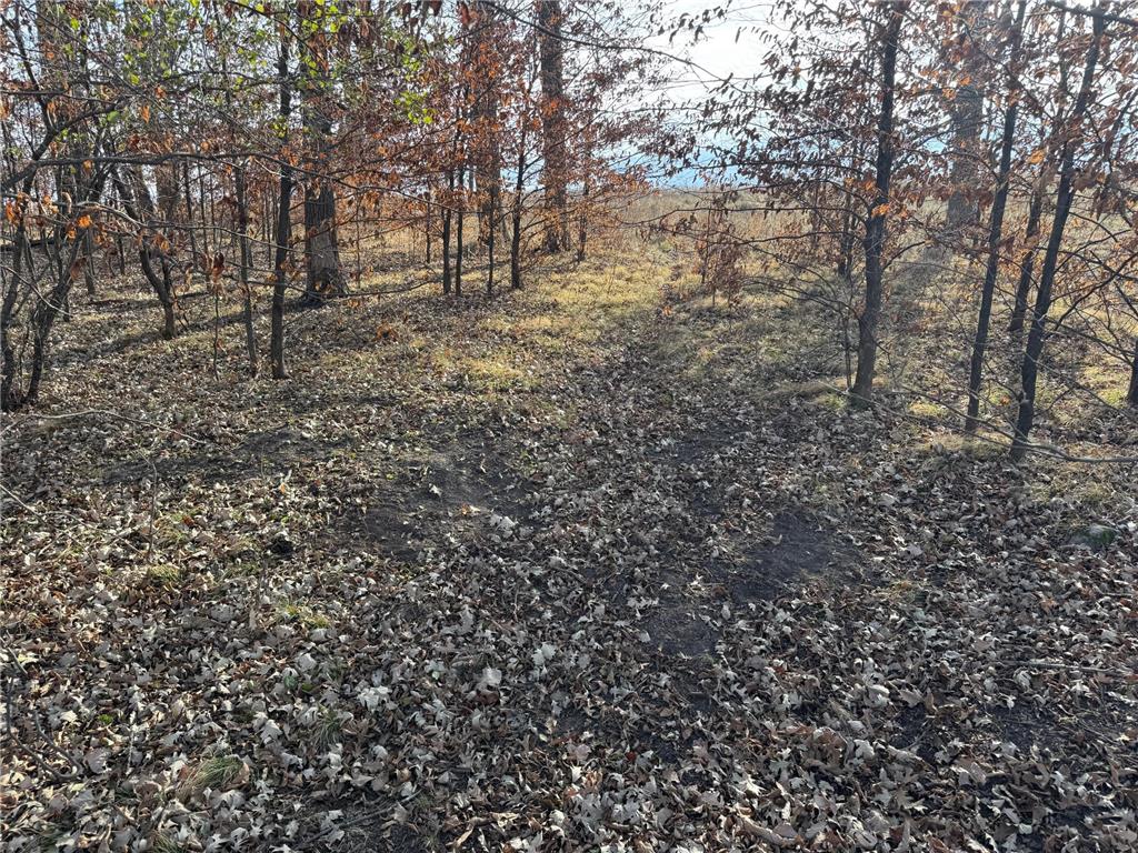 TBD 294th Street Red Eye Twp MN 56477 6819871 image29