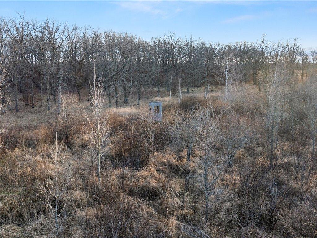 TBD 294th Street Red Eye Twp MN 56477 6819871 image30