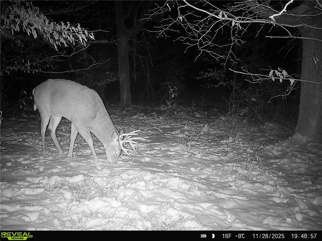 TBD 294th Street Red Eye Twp MN 56477 6819871 image4