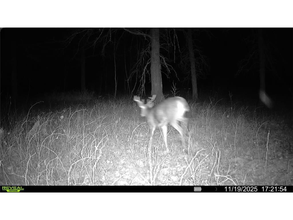 TBD 294th Street Red Eye Twp MN 56477 6819871 image5