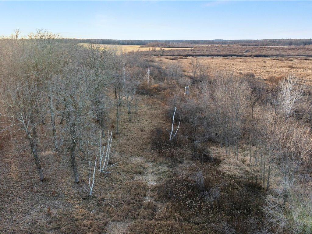 TBD 294th Street Red Eye Twp MN 56477 6819871 image6