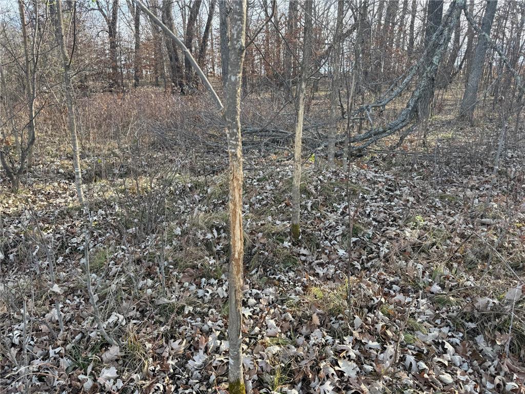 TBD 294th Street Red Eye Twp MN 56477 6819871 image7