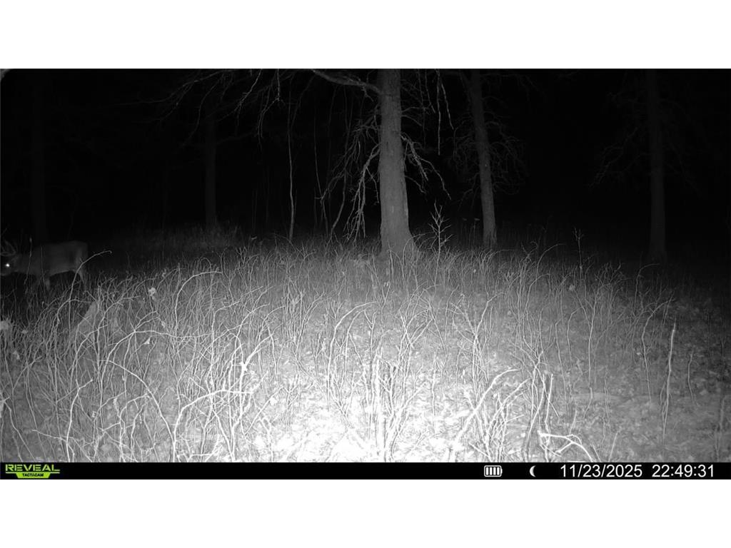 TBD 294th Street Red Eye Twp MN 56477 6819871 image9