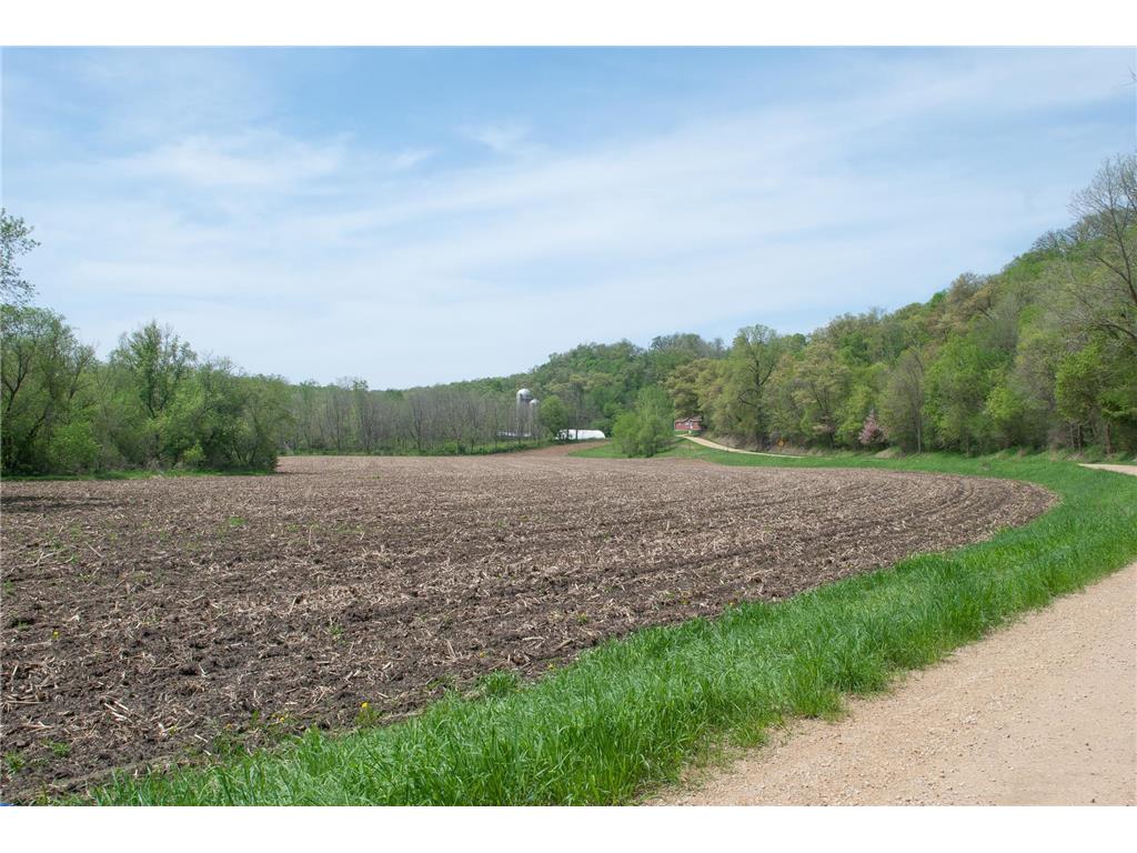 TBD 299TH West Albany Twp MN 55041 6521880 image10