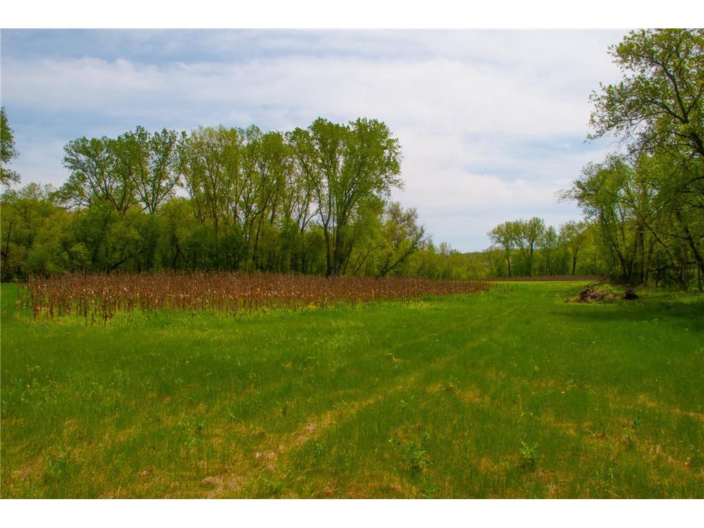TBD 299TH West Albany Twp MN 55041 6521880 image13