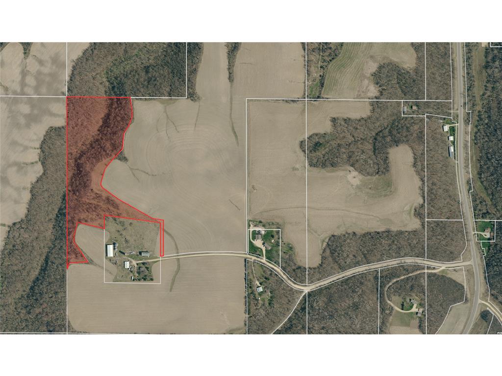  Featherstone Twp MN 55066 7062190 image1