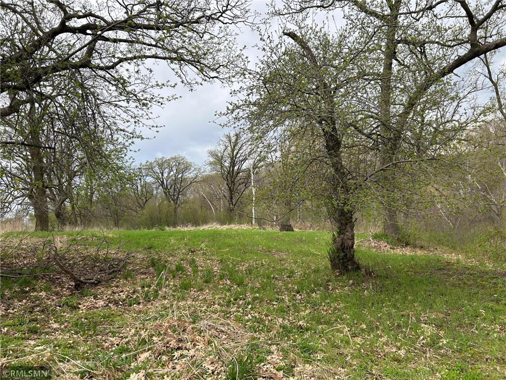  Featherstone Twp MN 55066 7062190 image10