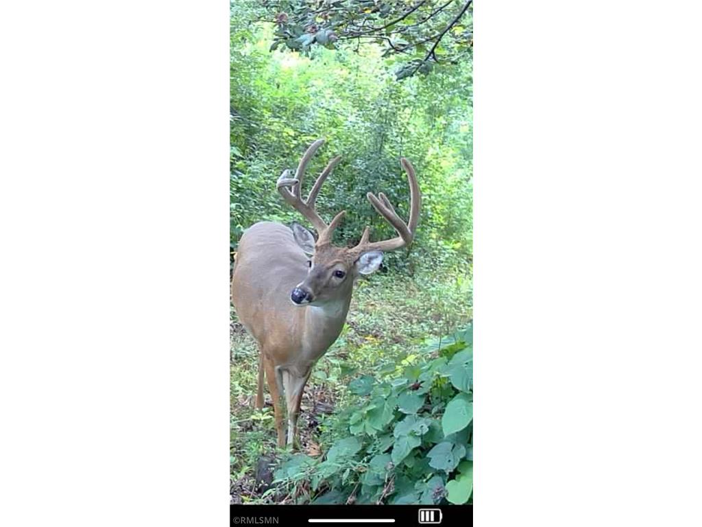  Featherstone Twp MN 55066 7062190 image14