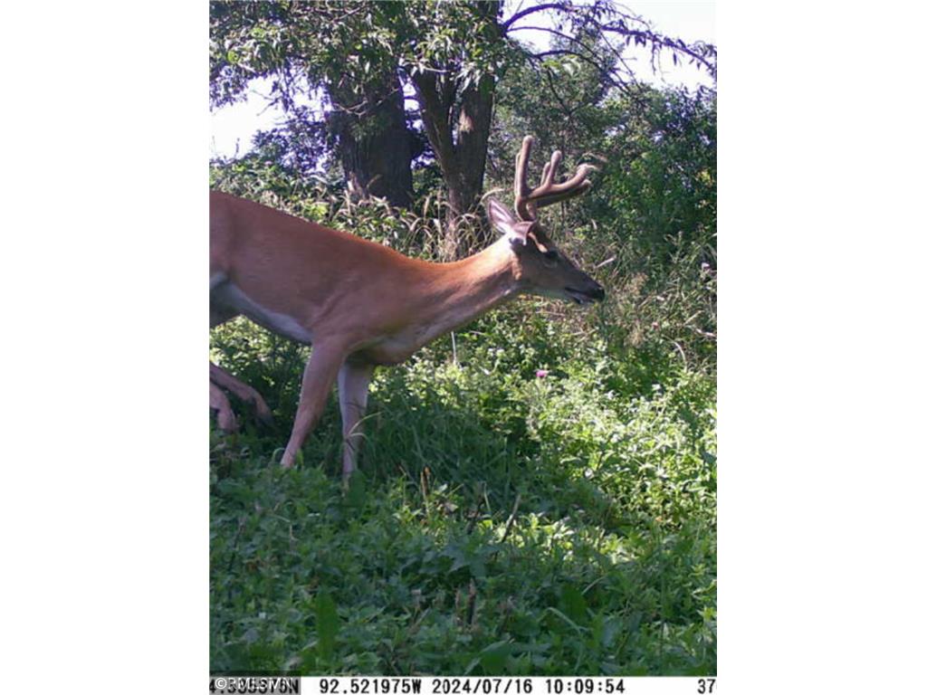 Featherstone Twp MN 55066 7062190 image15
