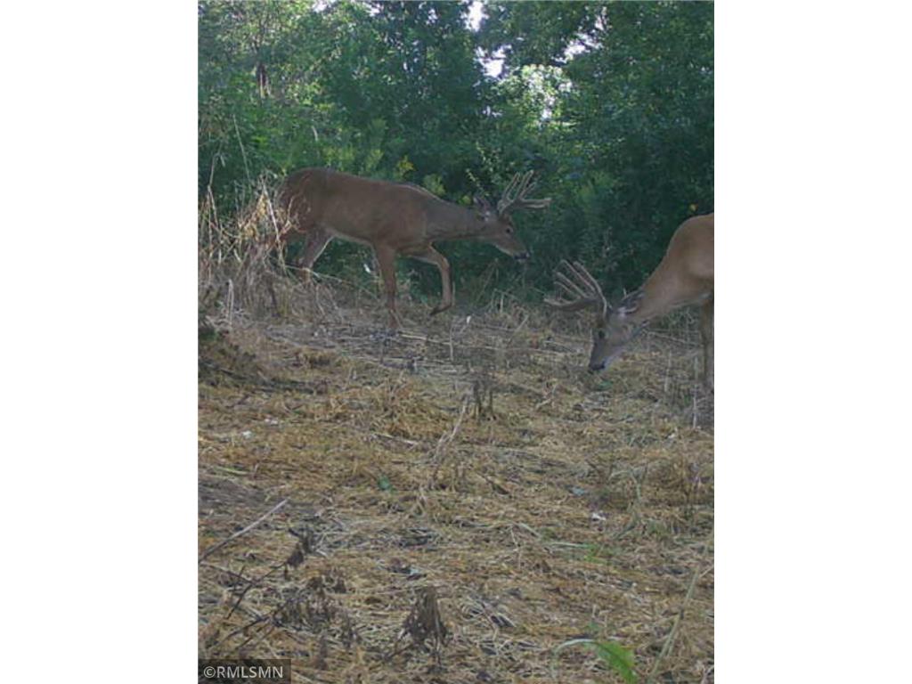  Featherstone Twp MN 55066 7062190 image16