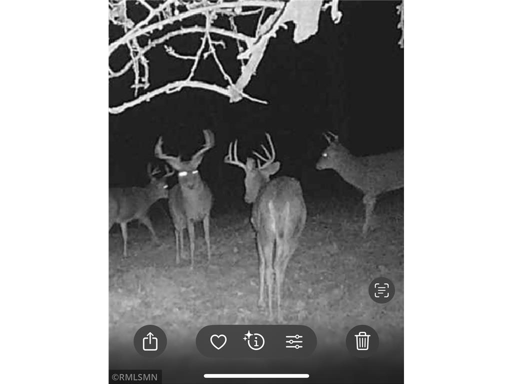  Featherstone Twp MN 55066 7062190 image18