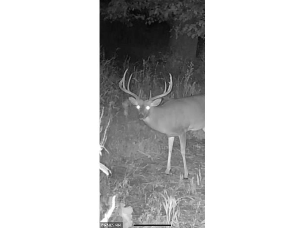  Featherstone Twp MN 55066 7062190 image19