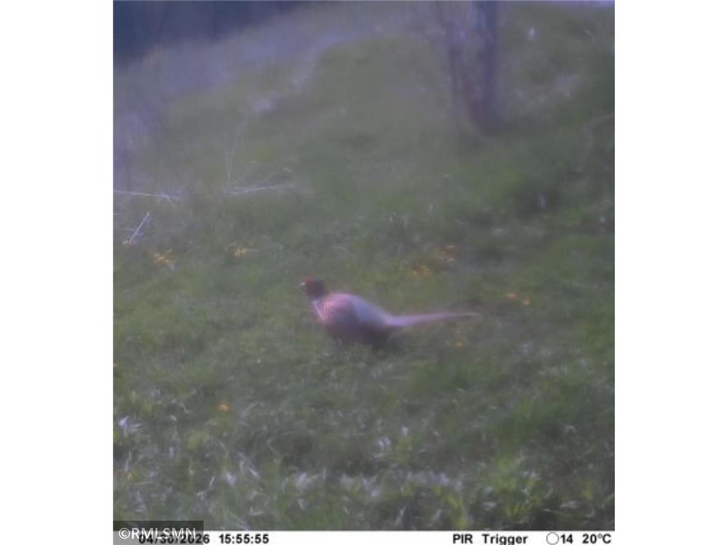  Featherstone Twp MN 55066 7062190 image20