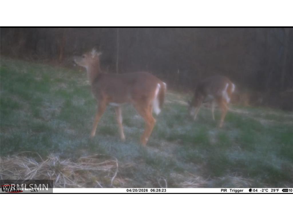  Featherstone Twp MN 55066 7062190 image21