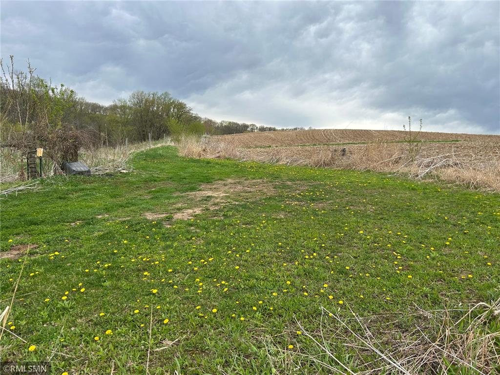  Featherstone Twp MN 55066 7062190 image3