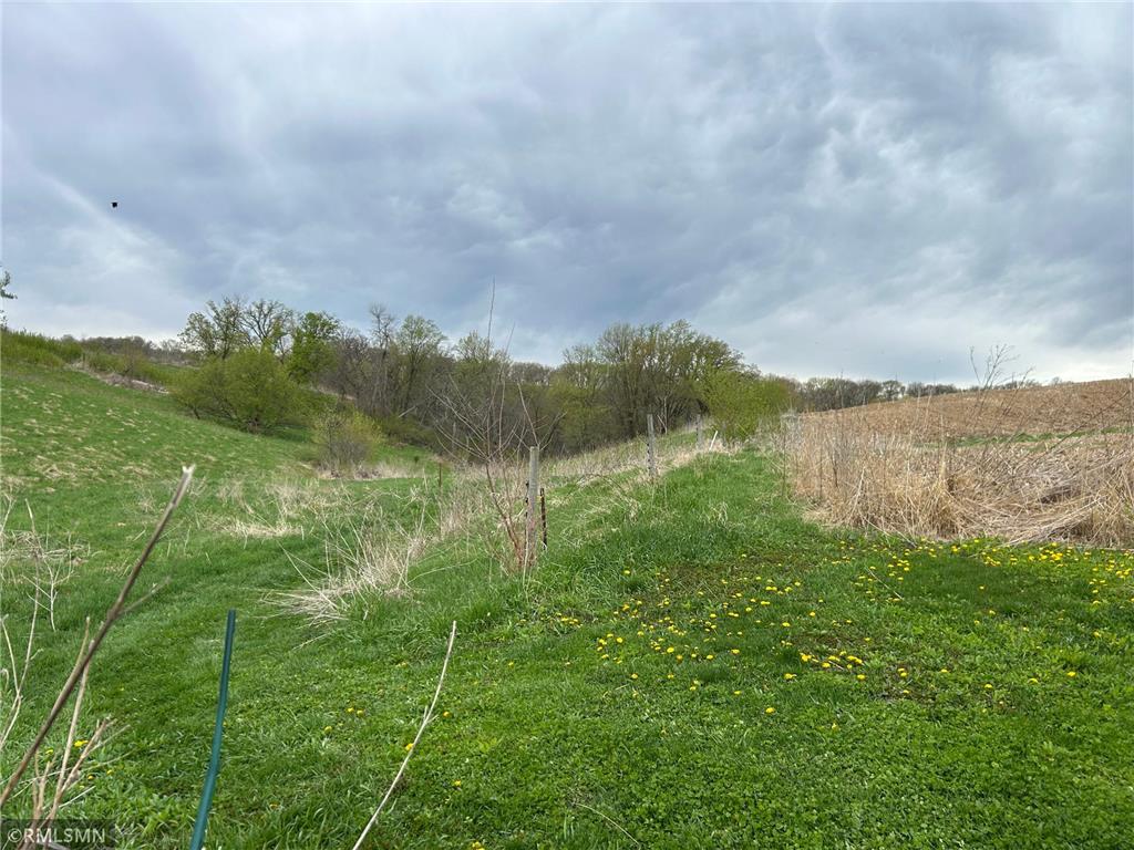  Featherstone Twp MN 55066 7062190 image4