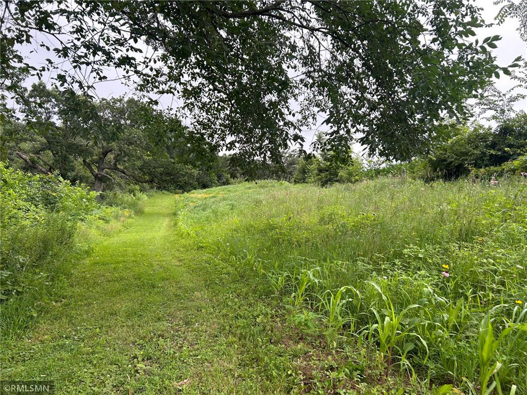  Featherstone Twp MN 55066 7062190 image5