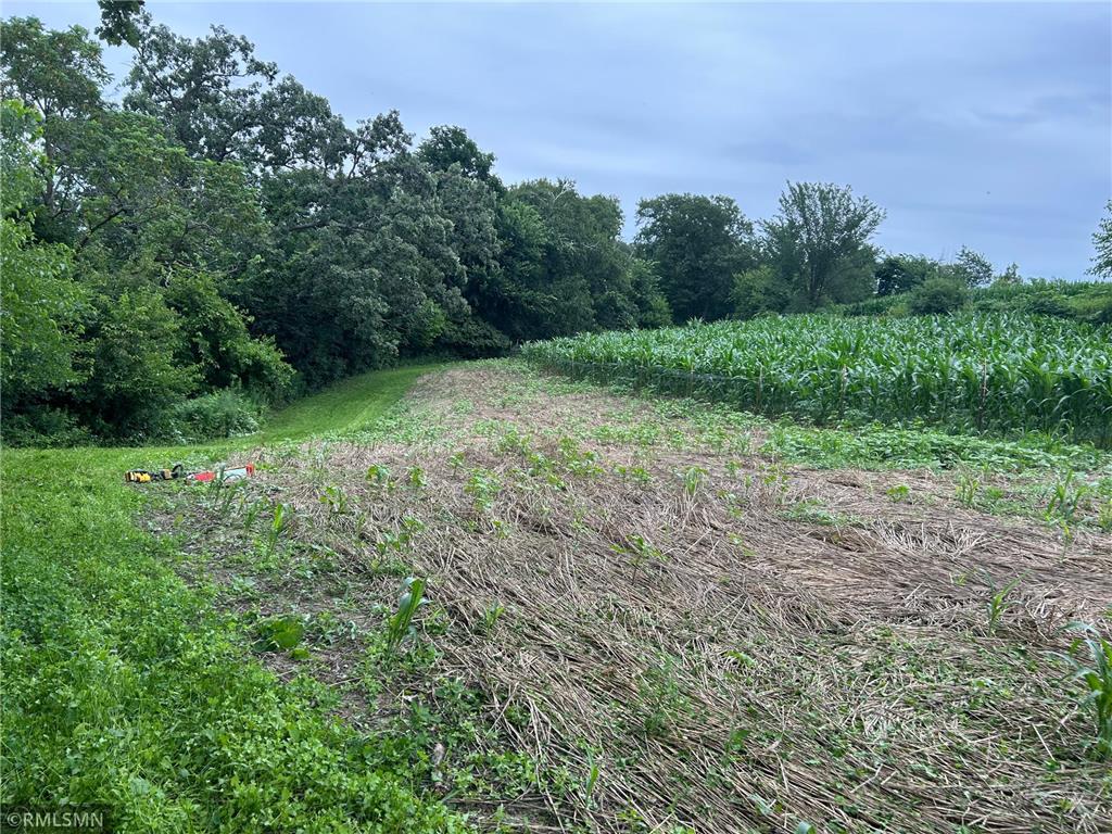  Featherstone Twp MN 55066 7062190 image6