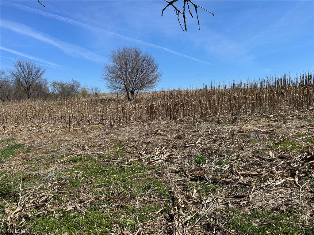  Featherstone Twp MN 55066 7062190 image7