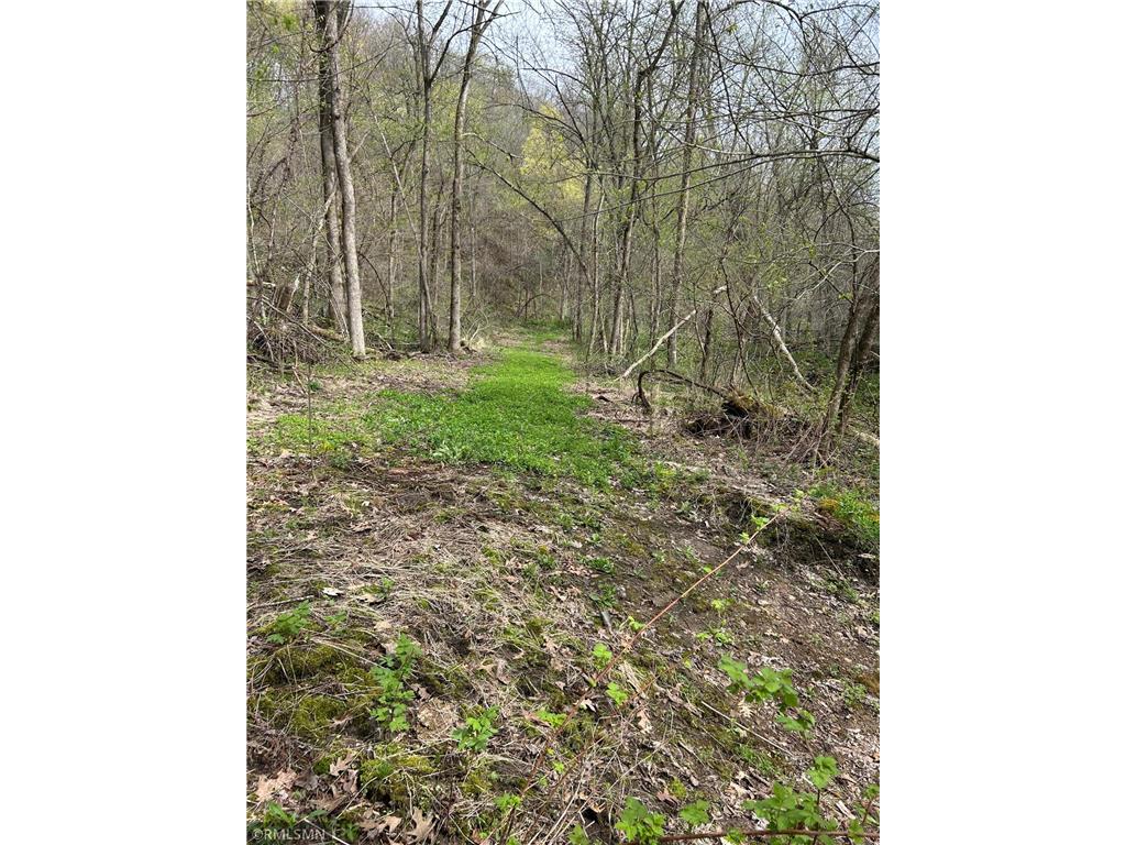  Featherstone Twp MN 55066 7062190 image9