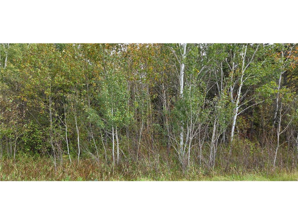 TBD 2nd Avenue E International Falls MN 56649 6791833 image1