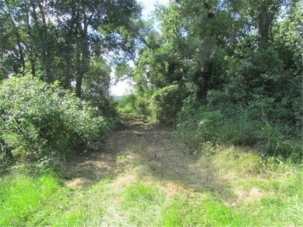 TBD 2nd Street E Starbuck MN 56381 - Minnewaska 7030492 image6