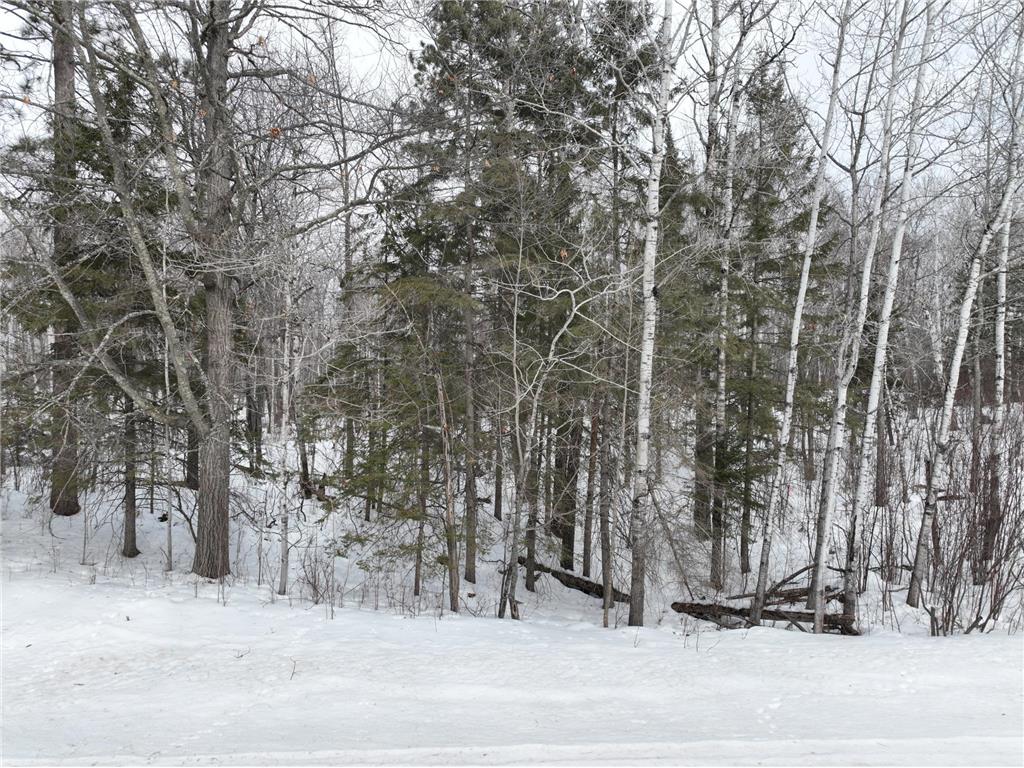 TBD-3 Christmas Point Road NW Walker MN 56484 - Leech Lake 6753999 image11