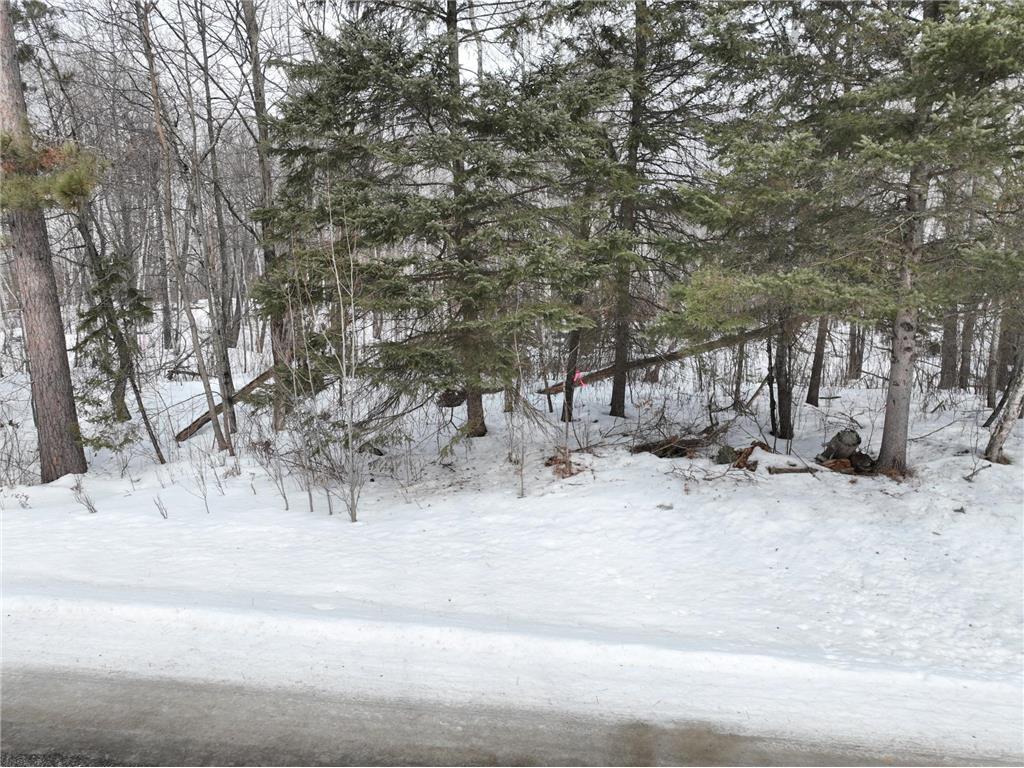 TBD-3 Christmas Point Road NW Walker MN 56484 - Leech Lake 6753999 image12