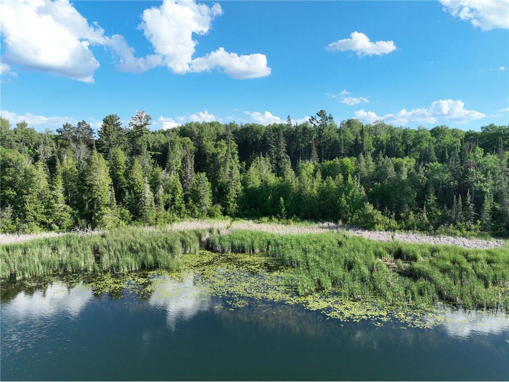 TBD-3 Christmas Point Road NW Walker MN 56484 - Leech Lake 6753999 image2