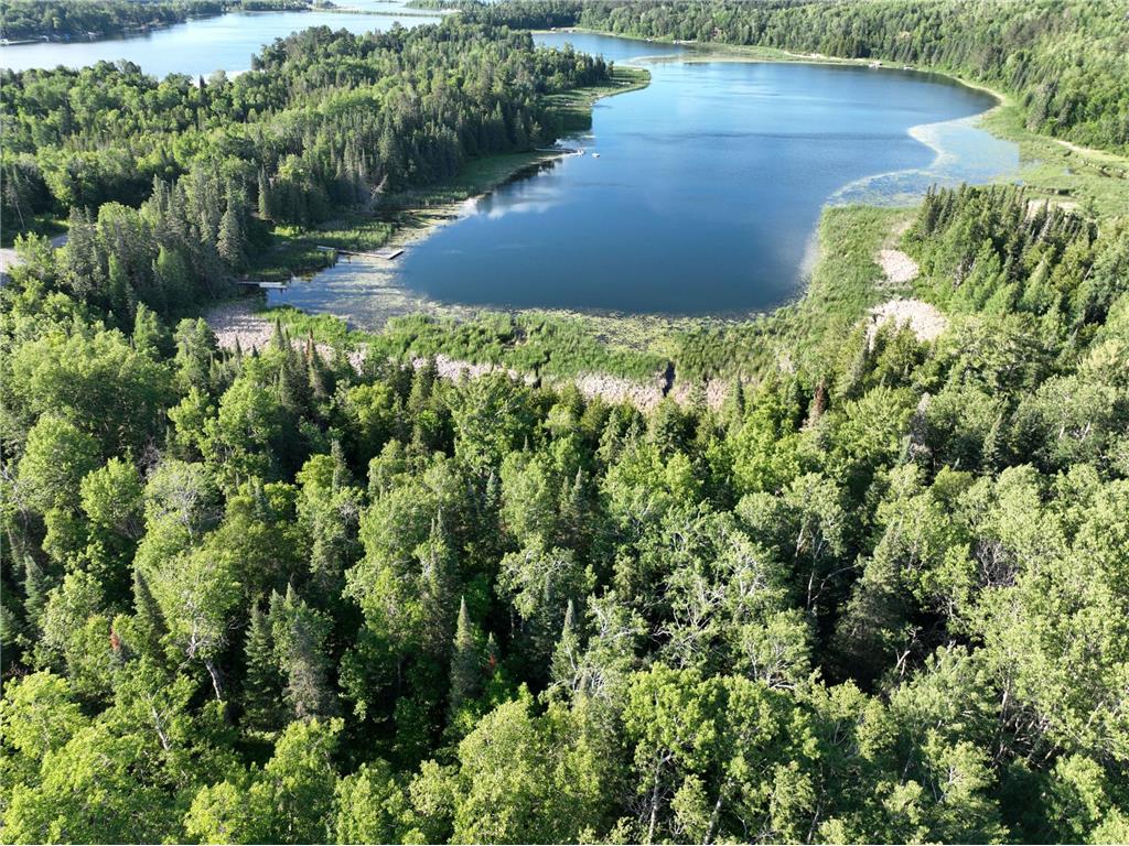 TBD-3 Christmas Point Road NW Walker MN 56484 - Leech Lake 6753999 image3