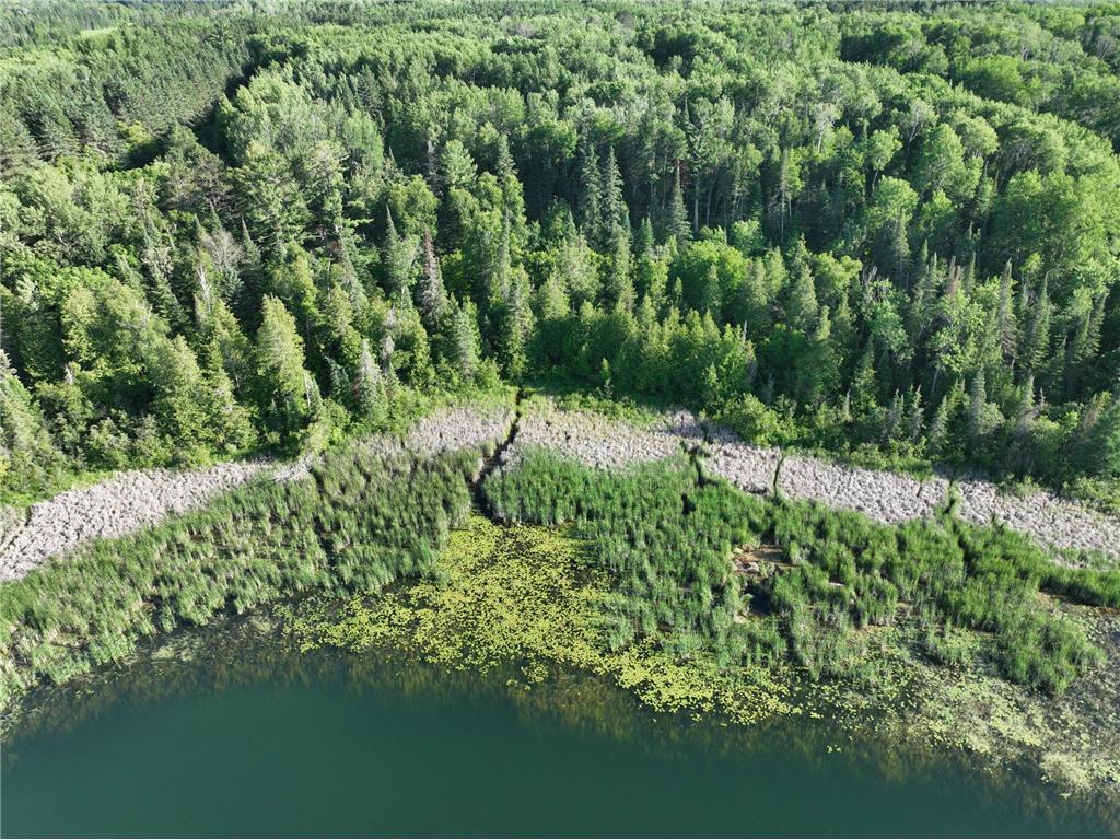 TBD-3 Christmas Point Road NW Walker MN 56484 - Leech Lake 6753999 image4