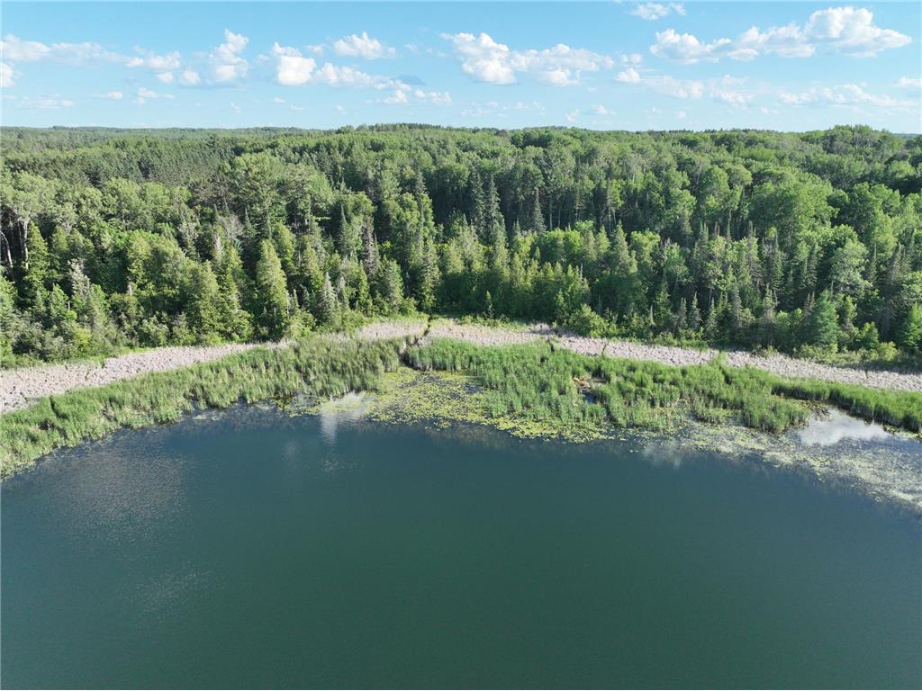TBD-3 Christmas Point Road NW Walker MN 56484 - Leech Lake 6753999 image5